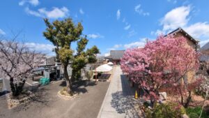 さくら樹木葬合同法要のご報告｜長慶山 富光寺