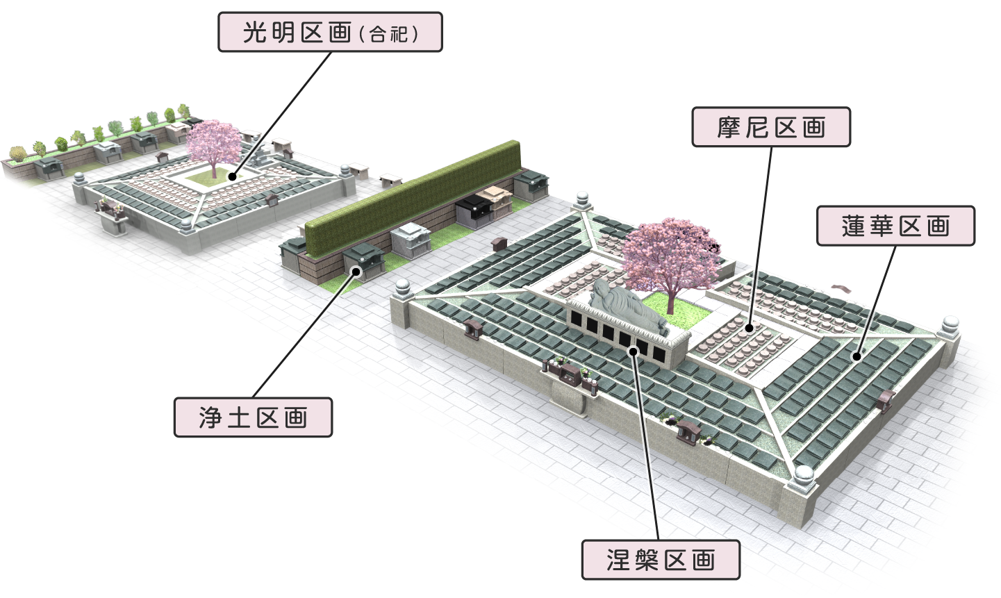 桜樹木葬区画図